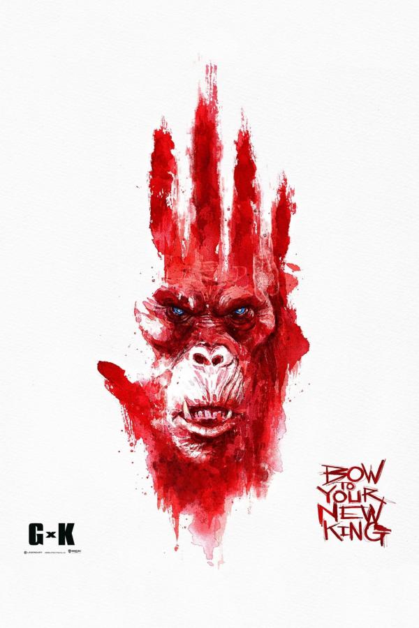 owl-carousel-video-image